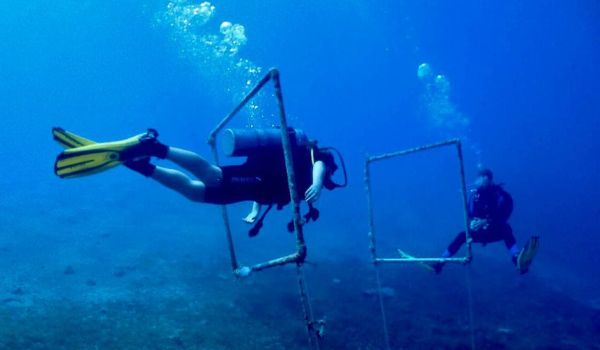 PADI Peak Performance Buoyancy